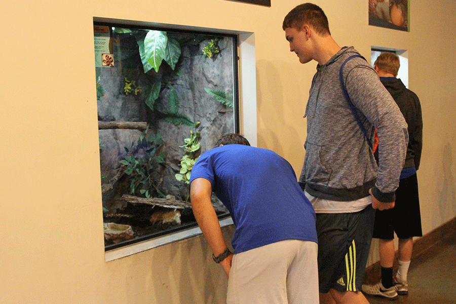 While in the snake exhibit, juniors Ben Hecht and Seth Burnett observe various snakes.