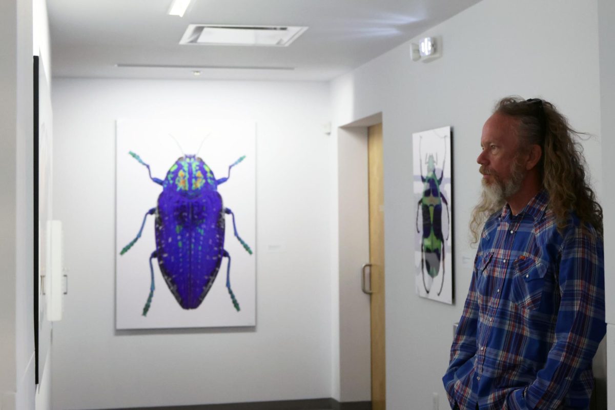 Person observes art in an indoor gallery.