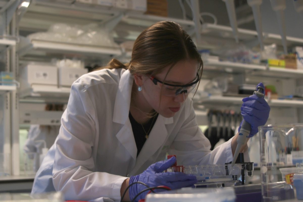 While holding a micropipette, senior Elise Davis experiments with electrophoresis.