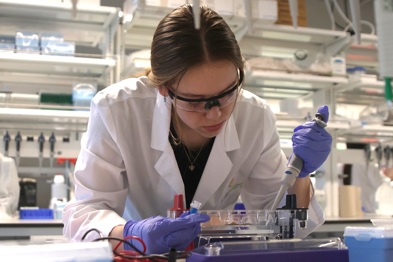 Experimenting in her biomedical innovations class, senior Elise Davis inserts DNA combined with jellyfish proteins into an agarose gel. Oct. 16.