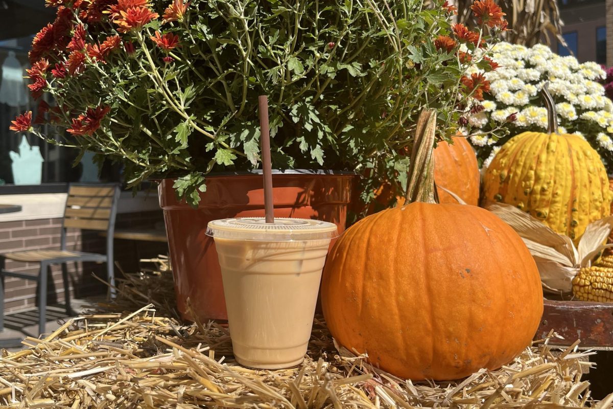 Mr. D's Iced Pumpkin Spiced Latte