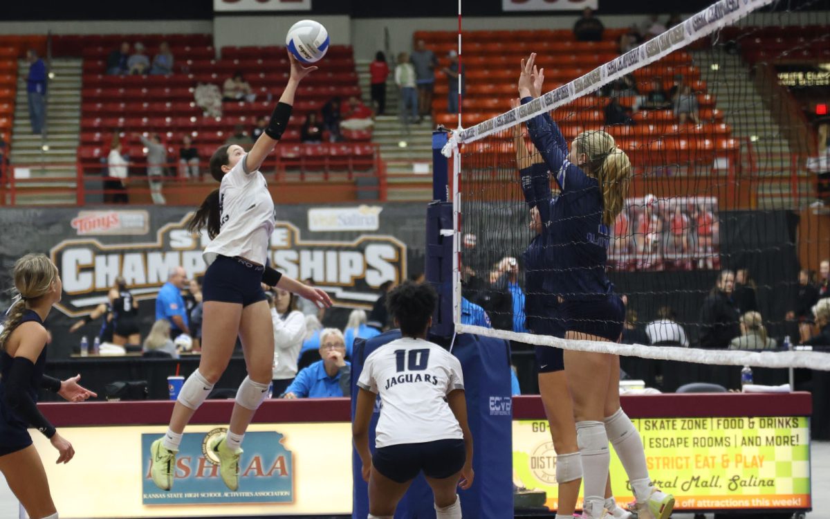 Keeping her focus on the ball, freshman Sophia Sturdy looks to hit the ball over the net.