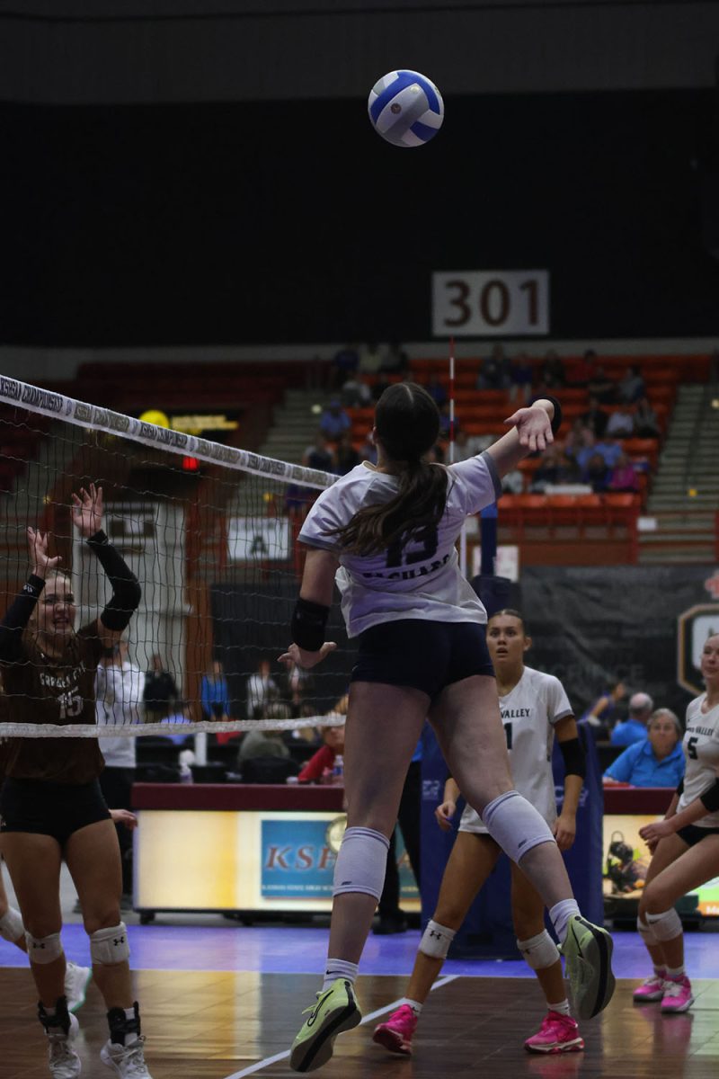 Arm back, freshman Sophia Sturdy hits the ball over the net against Garden City.