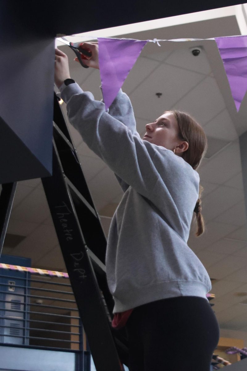 Senior Elly Hayes stands on a ladder and cuts the end of the string hanging up purple decorations for Relay for Life's Purple Bomb. 