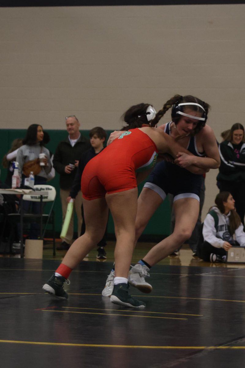 Driving her opponent to the mat, sophomore Chris Hale successfully pushes her down.